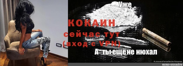 трава Корсаков