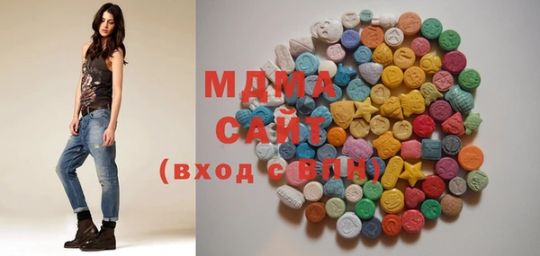 мдпв Краснослободск