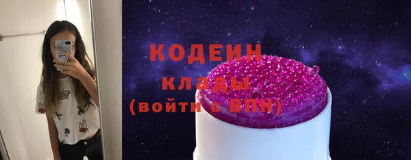 мдпв Краснослободск