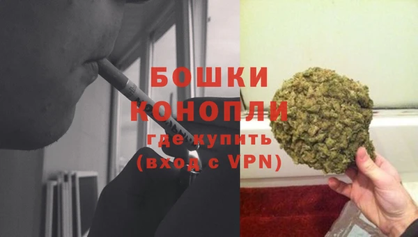 мдпв Краснослободск