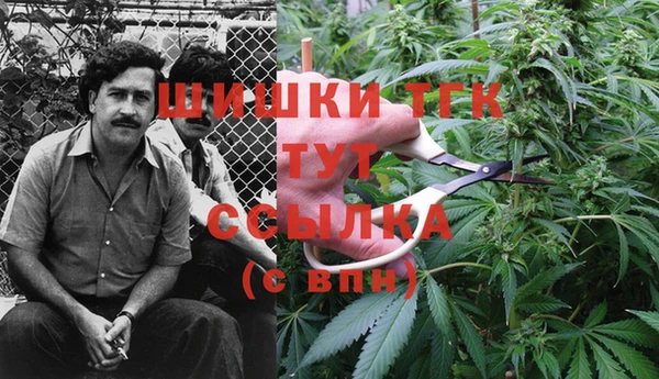 2c-b Киреевск