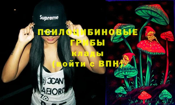 мдпв Краснослободск