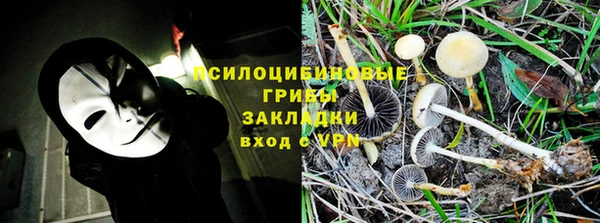 мдпв Краснослободск