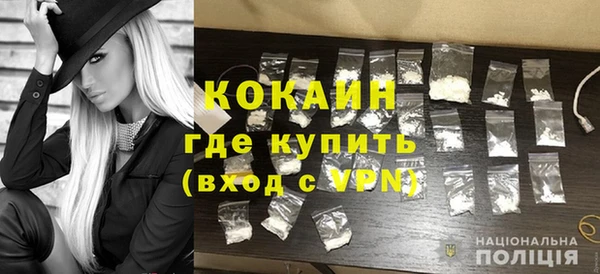 мдпв Краснослободск
