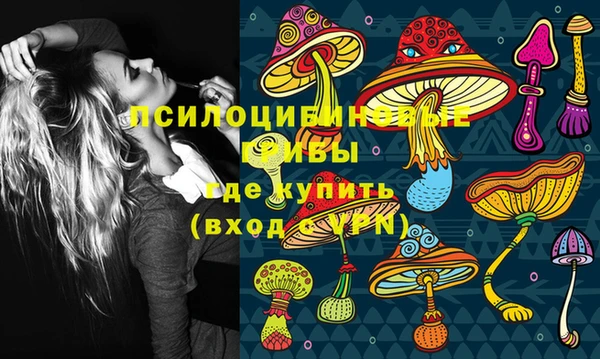 spice Кинешма