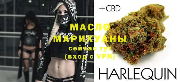 мдпв Краснослободск