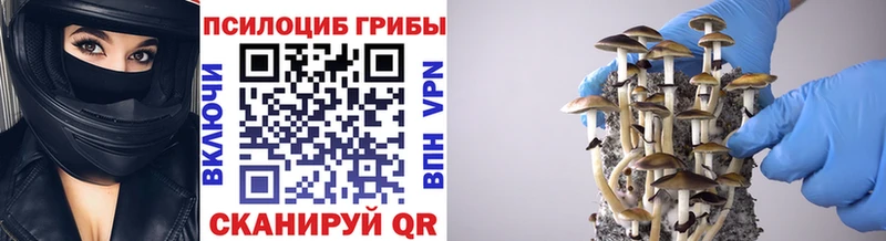 ОМГ ОМГ зеркало  Спас-Клепики  Псилоцибиновые грибы Cubensis  где можно купить наркотик 